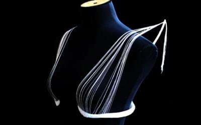 Bras for the Cause