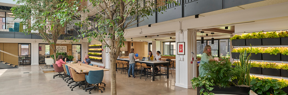 Biophilia and Inspiration: LBC Beauty Petal at the Stanley Center
