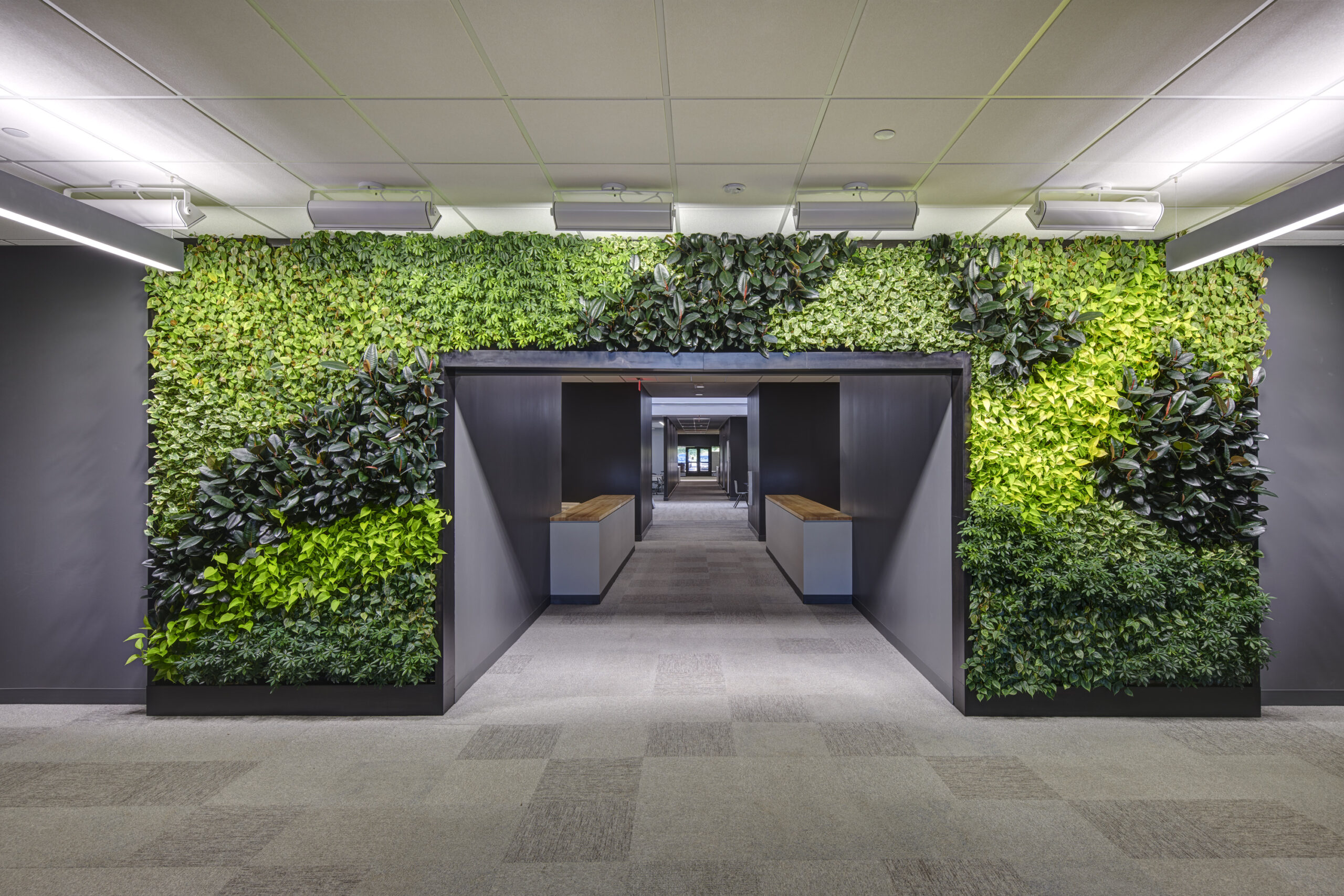3 Biophilic Design Strategies