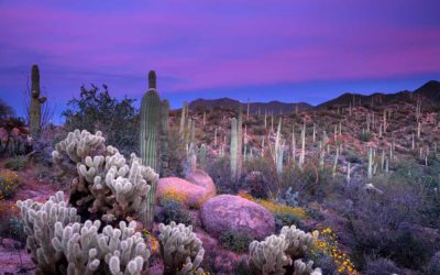 Grudge of the Week #6 : Pauline and the Water-Spiller