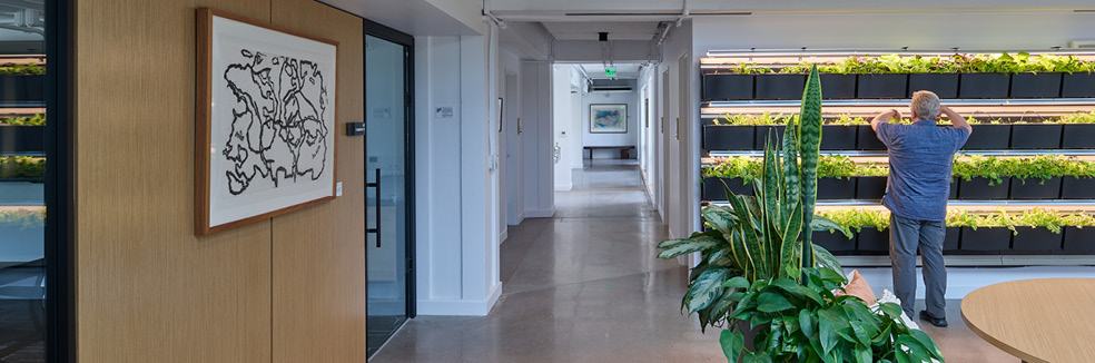 Accessing Nature: The Health and Happiness Petal at the Stanley Center