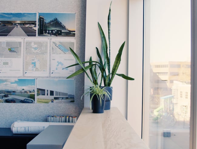 office plants4