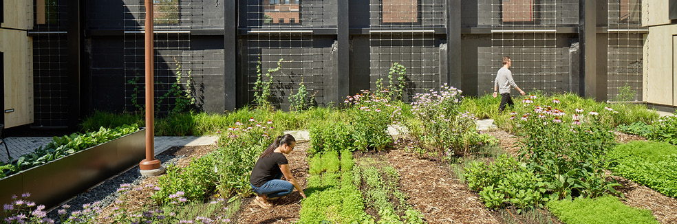 Ecology and Community: LBC Place Petal at the Stanley Center