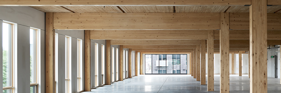 Tally Life Cycle Assessment: How it Contributes to a Building Project