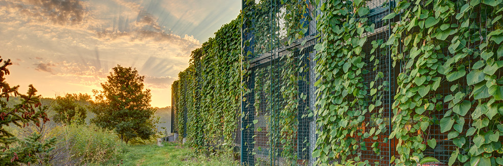 Top Architecture Firms for Sustainable Design in the US