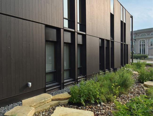 bioswale at the Stanley Center containing native plant species