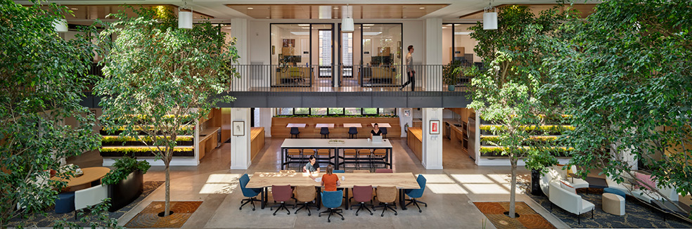 WELL Building Standard in the Workplace: 10 Concepts