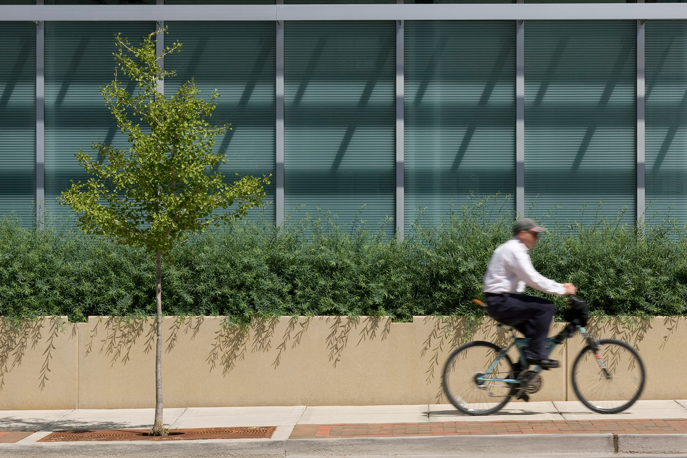 Design Strategies for Promoting Occupant Health and Well-Being